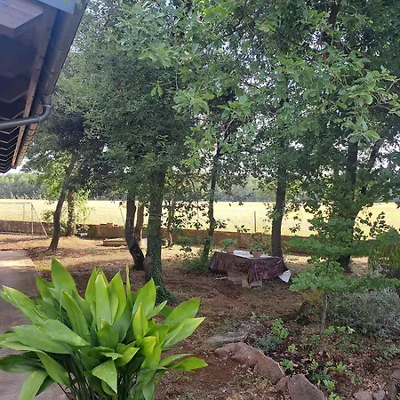 La Casa Del Pi *