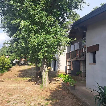 La Casa Del Pi Apartment *